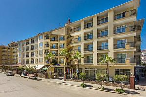 Kleopatra Royal Palm