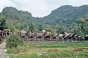 Indonéské kontrasty - Bali a země Torajů