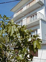 Apartmány Mare Blue