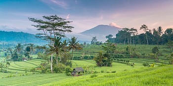 Kombinace Bali a Lombok ****