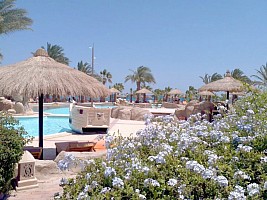 Lotus Bay Resort And Spa Abu soma